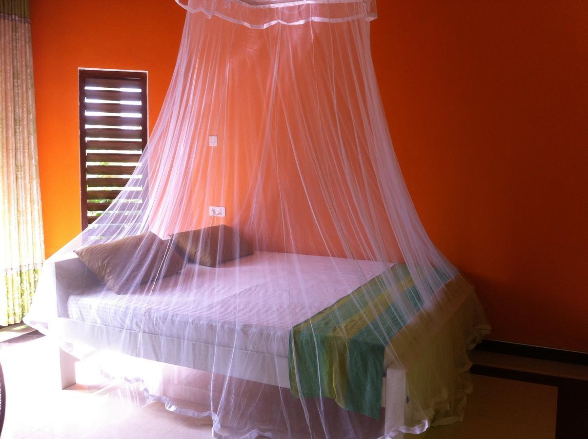 Bee Nest Bed & Breakfast Negombo Bagian luar foto